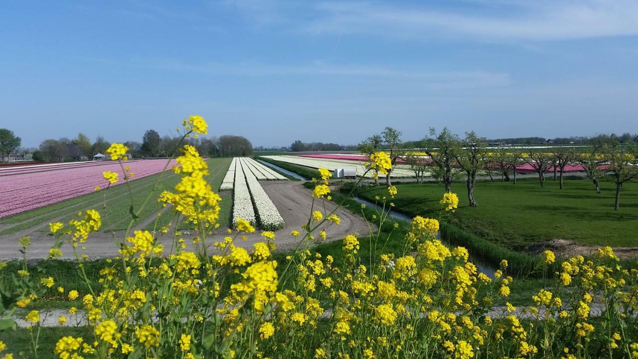Vakantiehuis Duin Bos En Zee สโคร์ล ภายนอก รูปภาพ