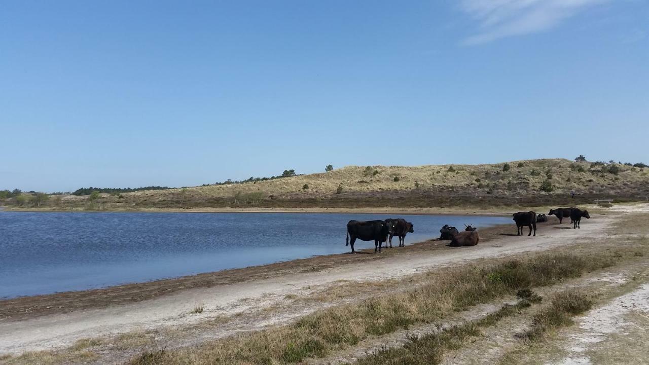 Vakantiehuis Duin Bos En Zee สโคร์ล ภายนอก รูปภาพ